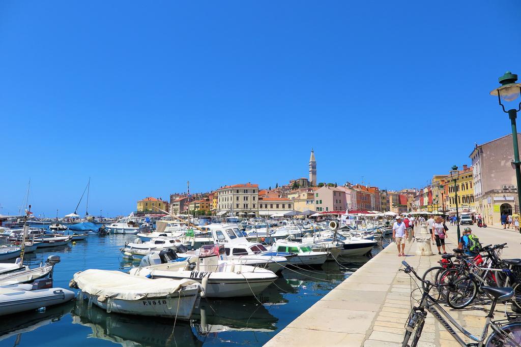 Delfin Apartament